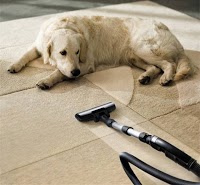 Carpet Medic carpet and upholstery cleaning 1058496 Image 0